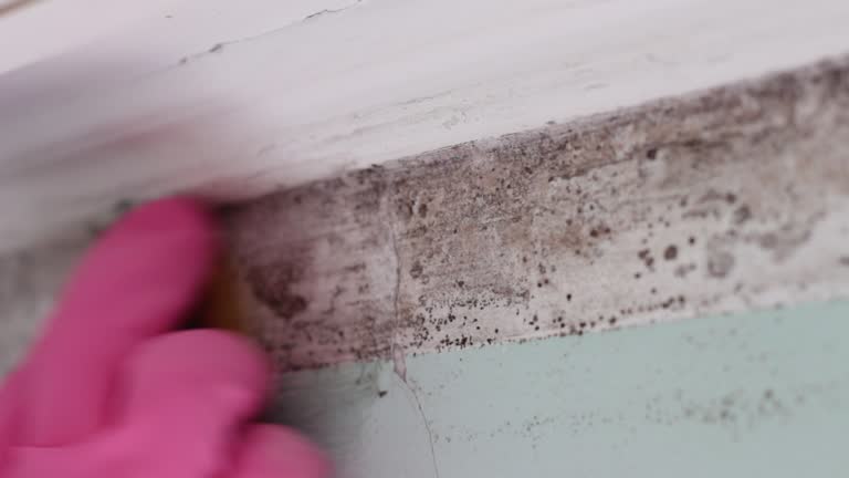 Best Airborne Mold Testing  in Meridianville, AL